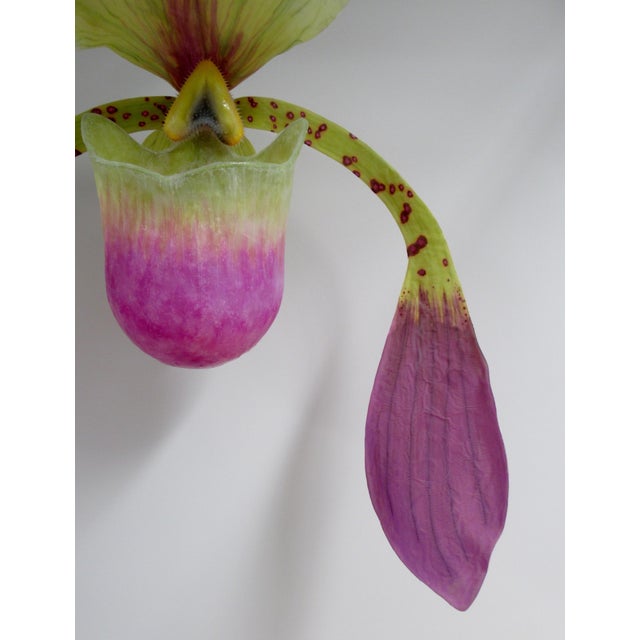 C. 2015 Original Artist Jurgen Reichert "Paphiopedilum Mirabilis" - Silicone Orchid, Light Wall Sculpture For Sale In Miami - Image 6 of 18