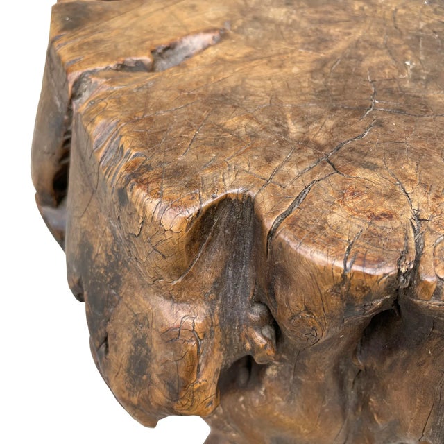 18th Century Chinese Qing Dynasty Scholar's Rootwood Stool For Sale - Image 10 of 13