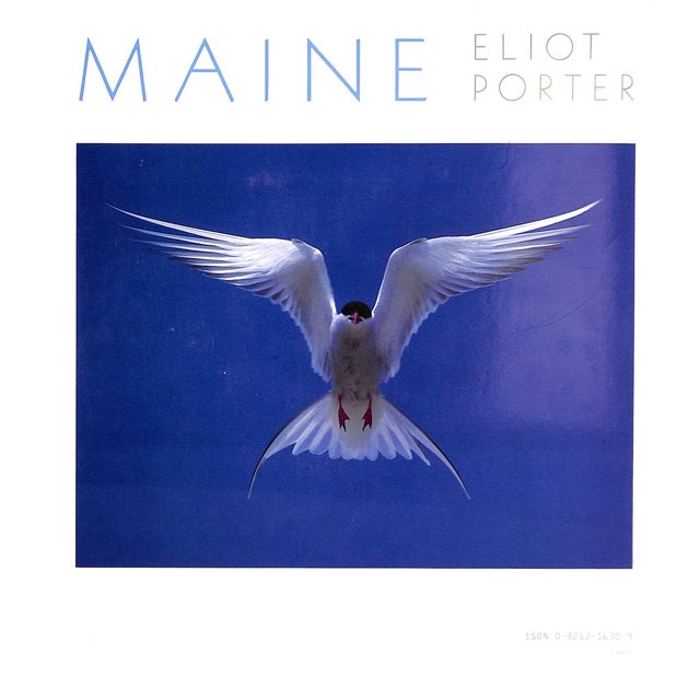 Traditional "Maine" 1986 Porter, Eliot For Sale - Image 3 of 11