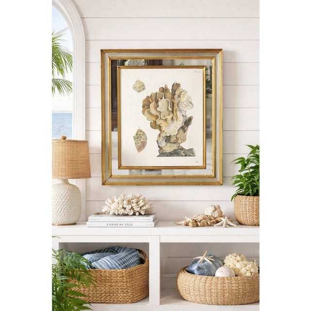 Bring timeless coastal sophistication to your space with this Coral specimen framed print inspired by 18th and 19th...