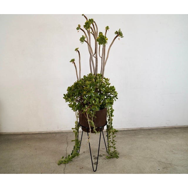 Black 1950’s Mid-Century Modern Iron Hairpin Plant Stand For Sale - Image 8 of 10