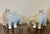 White Antique 18th Century Chinese Blanc De Chine Porcelain Elephant Candlestick or Joss Stick Holders - A Pair For Sale - Image 8 of 16