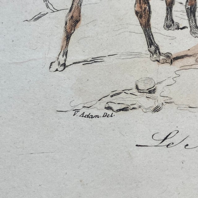 Tan French Antique 18th Century "Le Chion De Berger" Dog Engraving Hand Colored Signed Artwork For Sale - Image 8 of 12