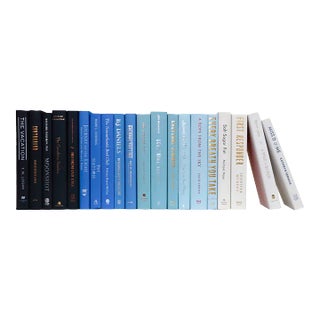 Decorative Books - Waterfall Books - Blue Books By The Foot For Sale