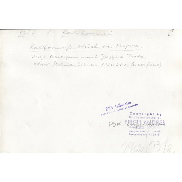 Silver Gelatine Print by Erich Andres, ca 1960. Andres was born 1905 in Germany and passed away 1992. He started his...