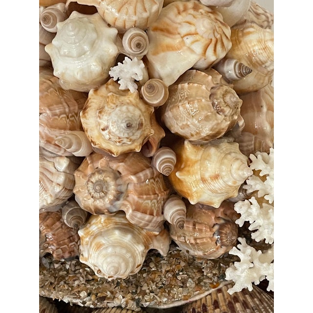 1970s Gorgeous Sea Shell Topiary Assemblage For Sale - Image 5 of 8