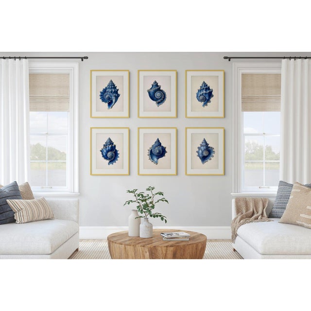 Set of 6 – Blue Seashell Collection | Coastal Natural History Fine Art Prints A refined collection of six Blue Seashell...