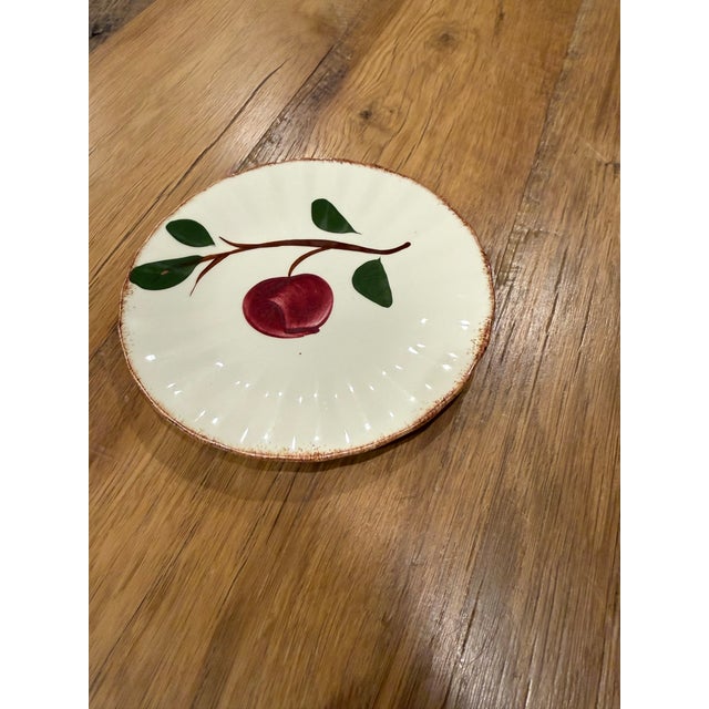 Vintage Blue Ridge Southern Potteries Hand-Painted "Crab Apple" Bread & Butter Plate - Brown Rim Variant For Sale - Image 6 of 6