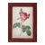 Illustration Cabbage Rose Rosa Centifolia Vintage Color Illustration Reproduction Print Behind Glass in Wood Frame For Sale - Image 3 of 3
