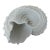 Large Vintage Beach Seashell Sculpture, White For Sale
