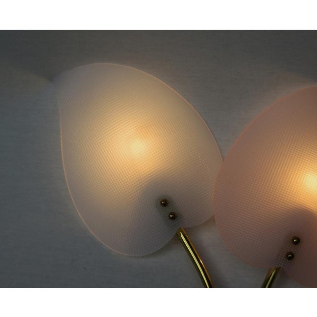 Floral Wall Lights in Acrylic Glass & Brass from Geru Lights, 1950s, Set of 2 For Sale - Image 10 of 18