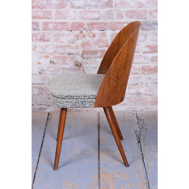 Textile Mid-Century Modern Chairs in Walnut by Antonín Šuman, 1950s, Set of 4 For Sale - Image 7 of 12
