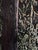 The Forest Never Sleeps by Deb Komitor | Oil on cradled board Night scene in a dense forest with moonlight. For Sale - Image 4 of 5