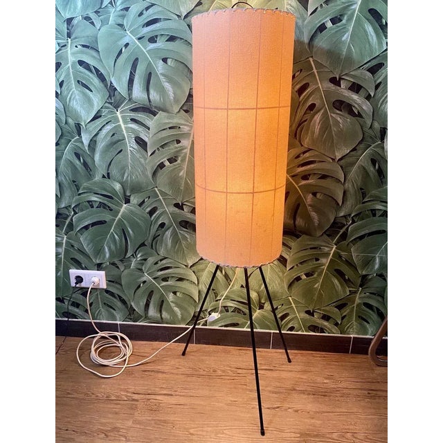 German Tripod Floor Lamp with Parchment Shade, 1950 For Sale - Image 11 of 17