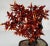 1940s Vintage Chinese Polished Glass Leaves on Bonsai Tree For Sale - Image 5 of 11