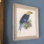 This is a hand colored lithograph of a Bluebellied Roller (Coracias cyanogaster) by the noted Dutch ornithological...
