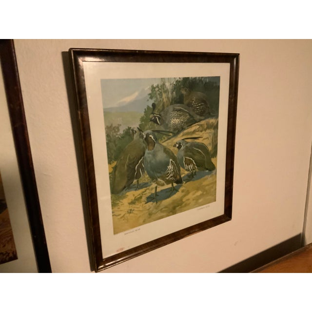 Overview: A fantastic, highly collectible, set of four vintage wildlife advertising prints originally commissioned by the...
