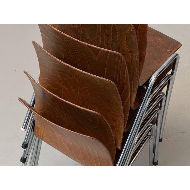 Brown Vintage Chair with Tubular Steel Frame by Kilo und Pagholz-Schale for Lignarit, 1960s For Sale - Image 8 of 17