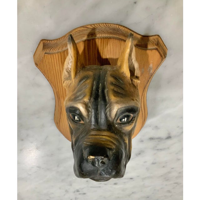Vintage German Friedel "Panopticum Animale" Boxer Dog, Matte Ceramic Bust Wall Plaque For Sale In New Orleans - Image 6 of 9