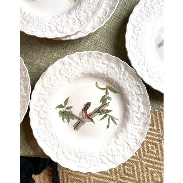 1940s Alfred Meakin “Audubon’s Birds of America” Dinner Plates, Made in