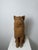 Montelupo Fiorentino Tuscan Artist, Sculpture of a Seated Cat, 19th Century, Terracotta For Sale - Image 17 of 18