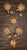 Mid-Century Modern Hollywood Regency Gold-Plated Brass Wall Lamps with Swarovski Crystals from Ernst Palme Palwa, 1960s, Set of 3 For Sale - Image 9 of 18