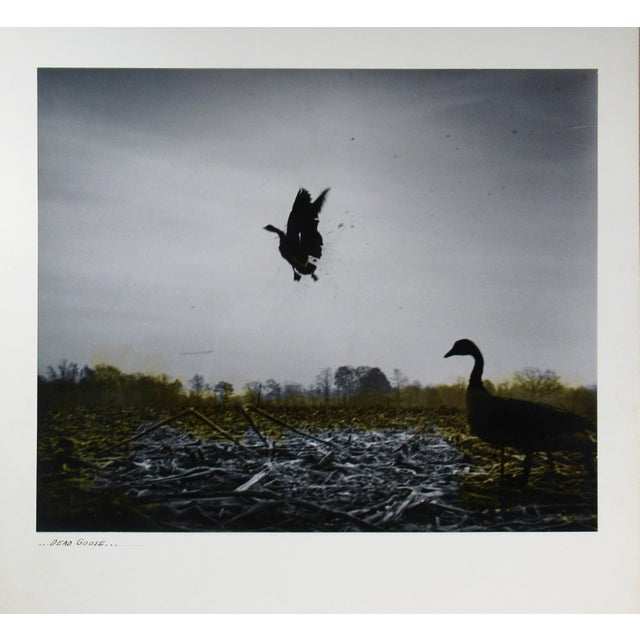 This Photograph titled "Dead Goose" c.1960, is a gelatin silver print with colors added by noted photographer Richard...