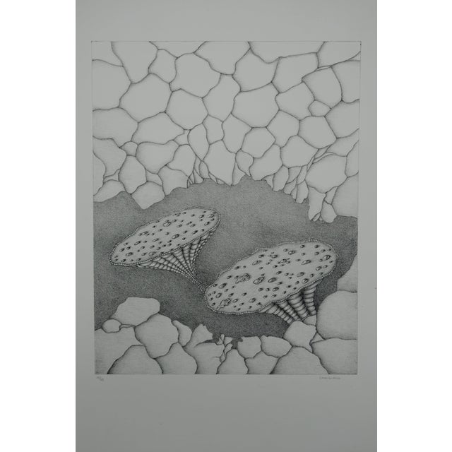 Gochka Charewicz, Harmonia, Lithograph For Sale