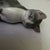 Ceramic Vintage Bing & Grondahl Grey and White Cat Figurine For Sale - Image 7 of 8