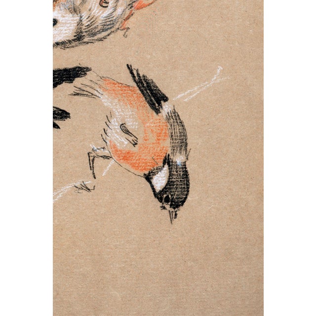 Study of Birds: Finches by Sir Edward Burne-Jones, Vintage Art Print Reproduction, 16" X 24" For Sale In Buffalo - Image 6 of 9