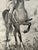 1940s Original Signed Graphite Illustration of Young Equestrian on Horseback, 12 × 9 In. For Sale - Image 4 of 7