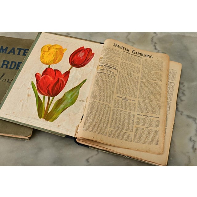 1900 - 1909 English Early 20th Century Amateur Gardening Books - Set of 2 For Sale - Image 5 of 9