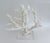 Massive Natural Branch Coral Specimen on Acrylic Base For Sale - Image 4 of 7