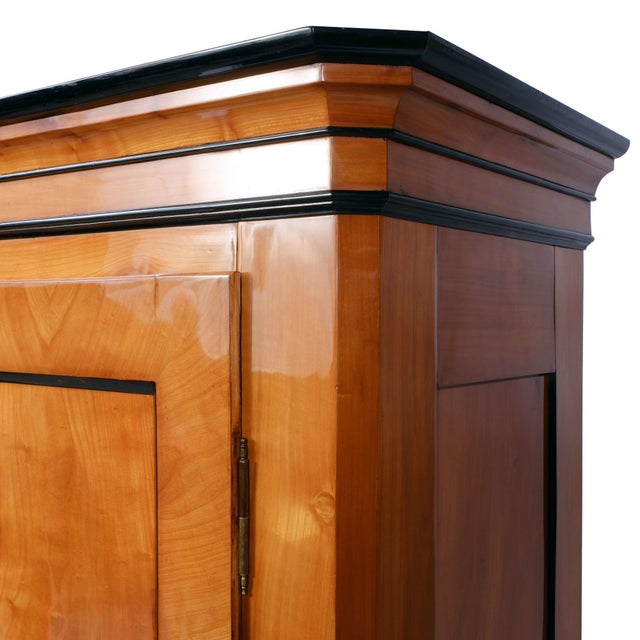 Biedermeier Hall Cabinet in Walnut, 1830 For Sale - Image 5 of 9