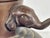 Metal Japanese Seizan Bronze Elephant Censer For Sale - Image 7 of 13