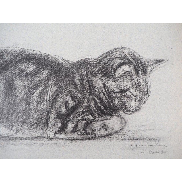 Modern Théophile Alexandre Steinlen, The Tabby Cat, 1933, Lithograph For Sale - Image 3 of 6