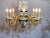 Early 20th Century Gilt Bronze 8 Arms Meissen Style Chandelier, Germany For Sale - Image 9 of 12