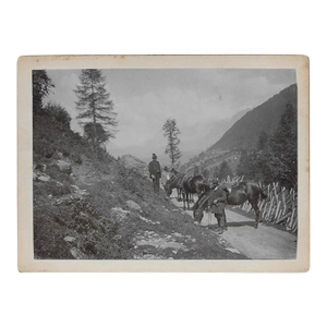 1899 Alps and Horses Photograph