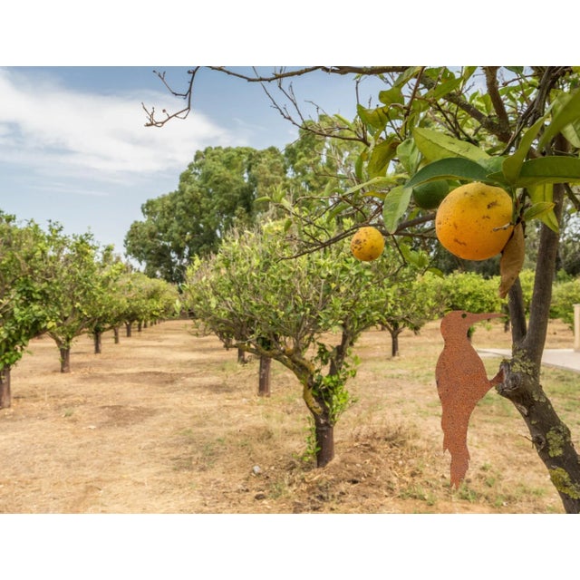 Farmhouse Late 20th Century Rustic Americana Woodpecker Wall Accent For Sale - Image 3 of 6