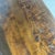 Rustic Wabi-Sabi Coffee Table in Wood, 1970s For Sale - Image 13 of 18