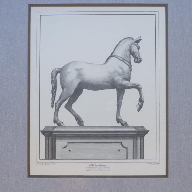 Traditional Herculaneum Equestrian Horse Print After Carlo Nolli 1970s Framed 1 of 2 For Sale - Image 3 of 4