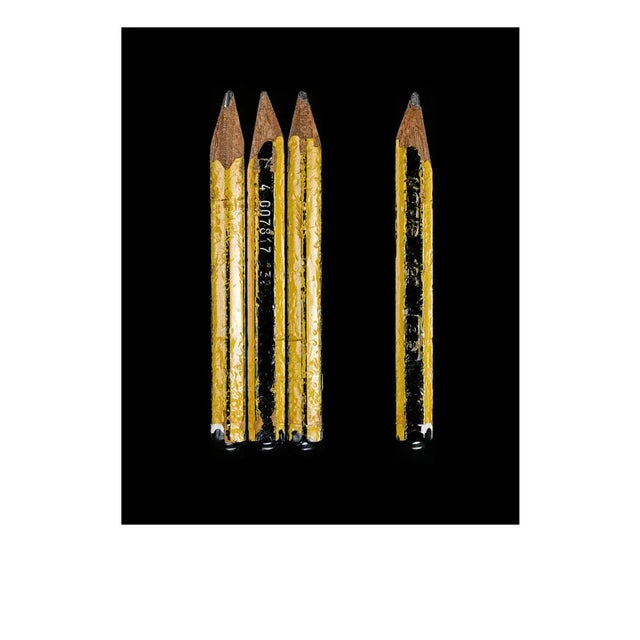 David Shrigley's Pencil by Secret Life of Pencil Print, 30" x 40" For Sale