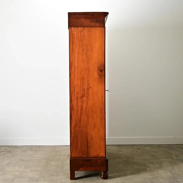 French 19th Century Mahogany Bibliotheque For Sale - Image 9 of 12