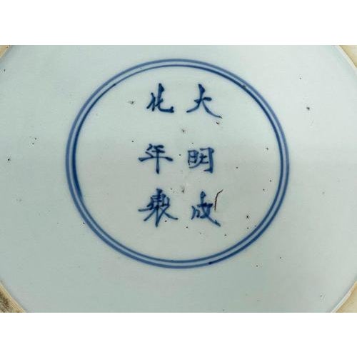 Blue Large Wucai Dish, 1700-1720 For Sale - Image 8 of 11