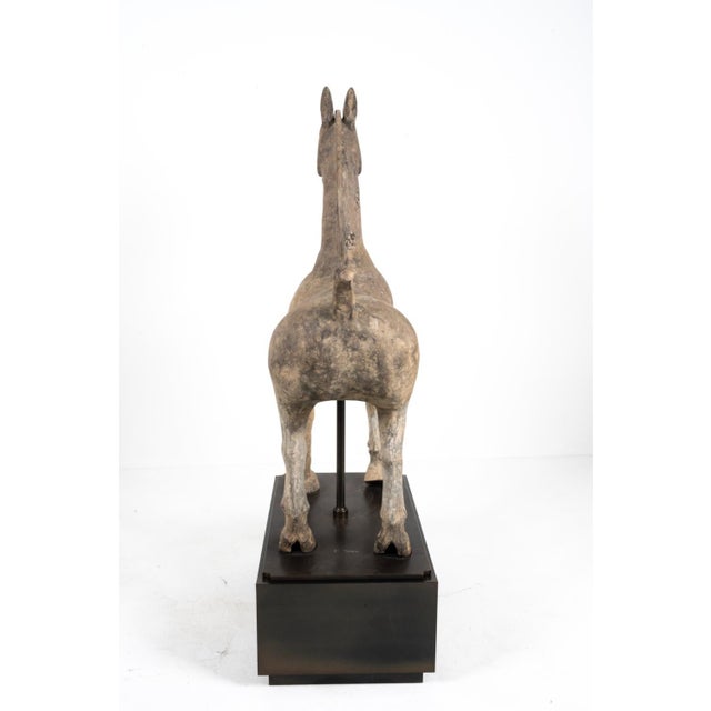 Chinese Ancient Chinese Han Dynasty Monumental Mingqi Horse Terracotta Sculpture For Sale - Image 3 of 12