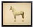 Country Print of Wayland the Horse Bookplate - 18x14 For Sale