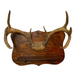 Early 20th Century 8-Point Deer Antler Shelf