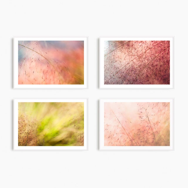 I got lost when my curiosity led me to wonder what would happen if I inserted myself deep into some ornamental grasses in...