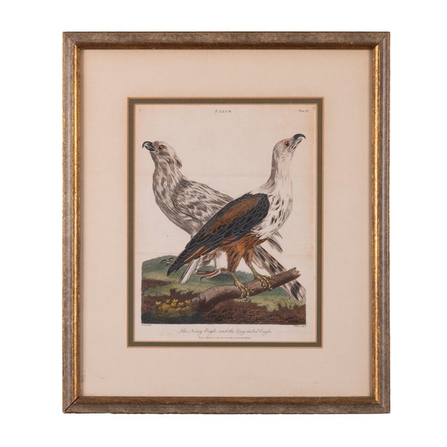 Early 19th Century John Pass After Reinhold Eagle Engravings, c.1805 For Sale - Image 5 of 6