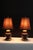 A pair of Empire style early 20th century burnished bronze and antique brass .Beautiful finish embellished by the brass...